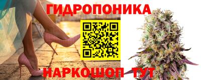 мяу мяу мука Мариинск