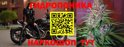 хмурый Малоярославец