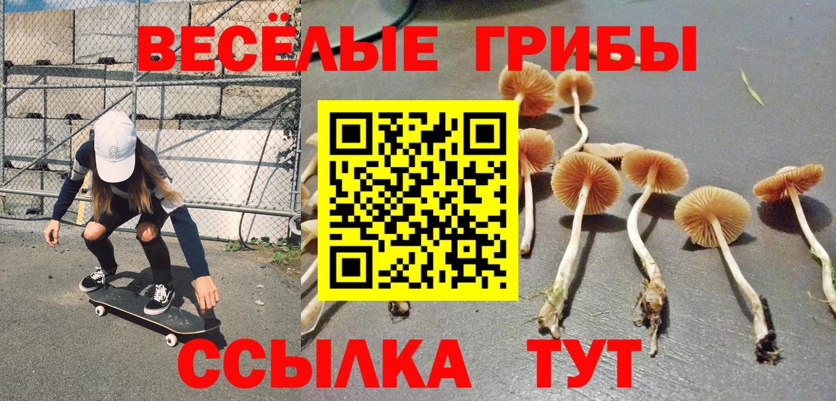 Галлюциногенные грибы мицелий  Вход с VPN  Домодедово 
